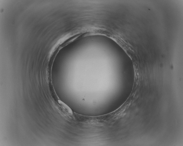 X0000076250244200610191656