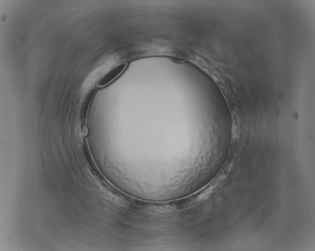 X0000076250245200610191656