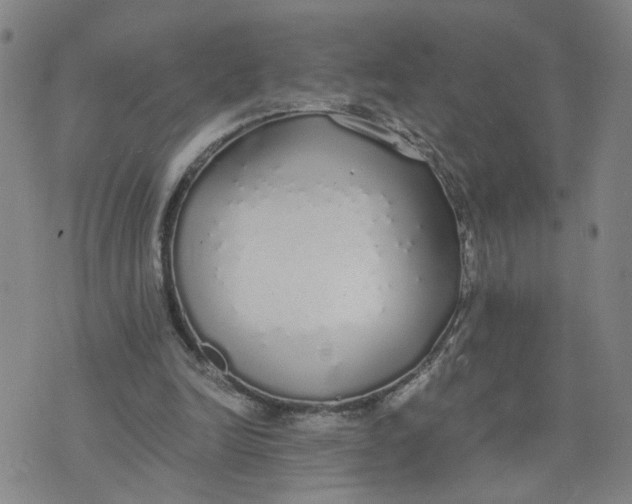 X0000076250246200610191656