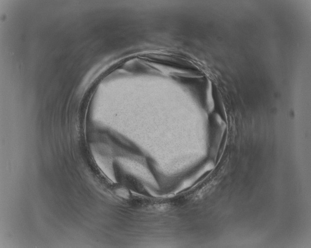 X0000076250247200610191656