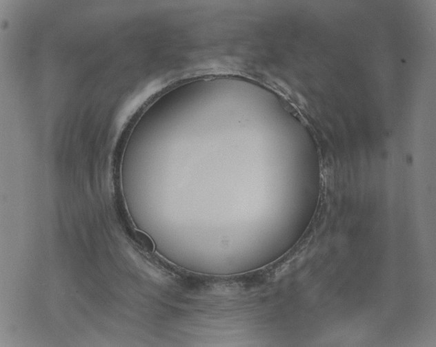 X0000076250248200610191656