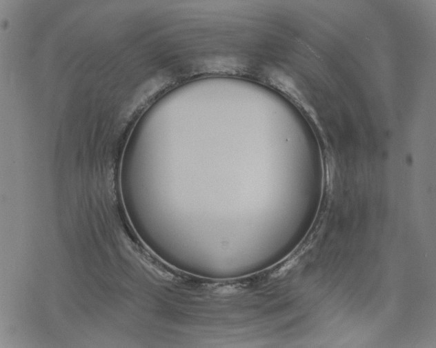 X0000076250249200610191656