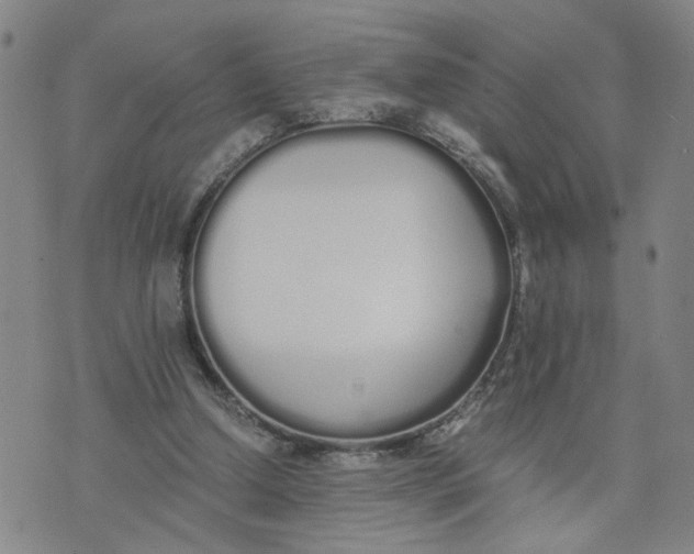 X0000076250250200610191656