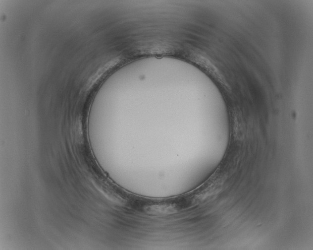 X0000076250251200610191656