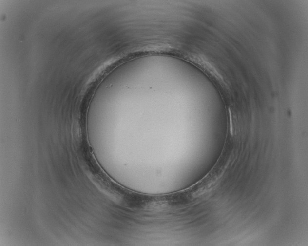 X0000076250252200610191656