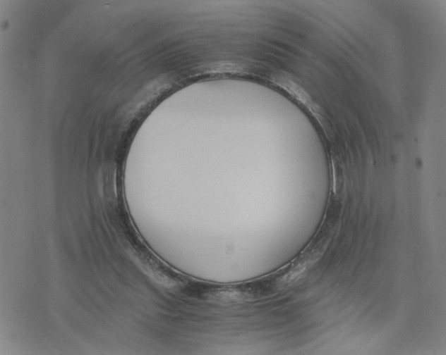 X0000076250253200610191656