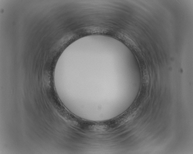 X0000076250255200610191656