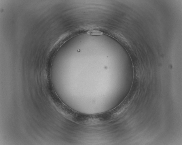 X0000076250256200610191656