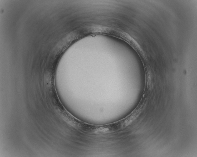 X0000076250257200610191656