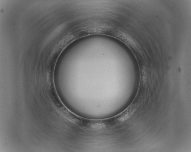 X0000076250258200610191656