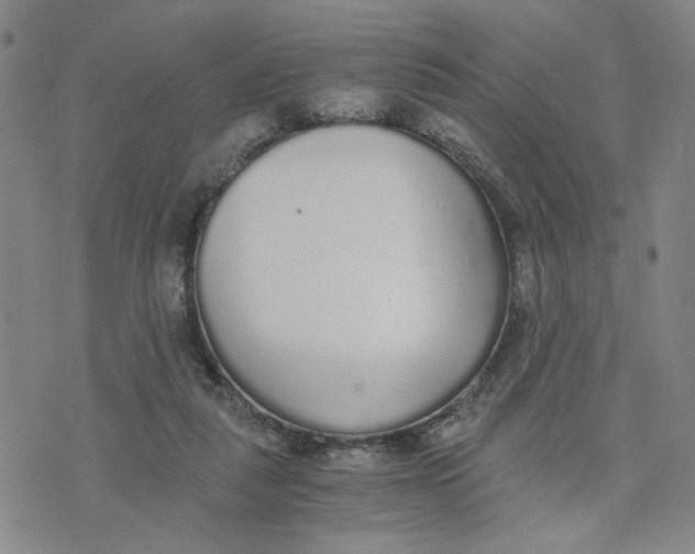 X0000076250259200610191656