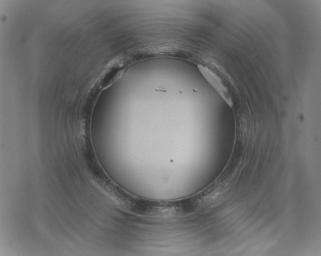 X0000076250260200610191656