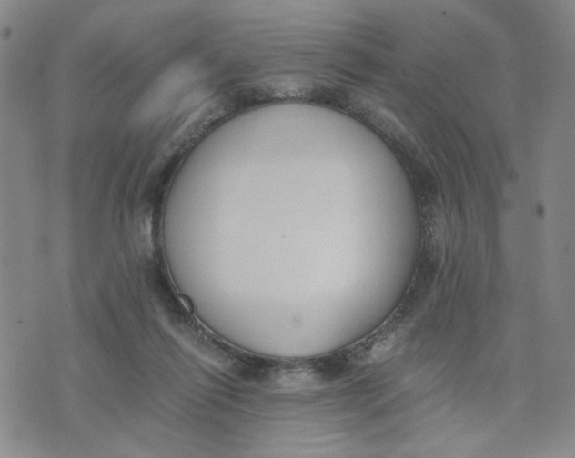 X0000076250262200610191656