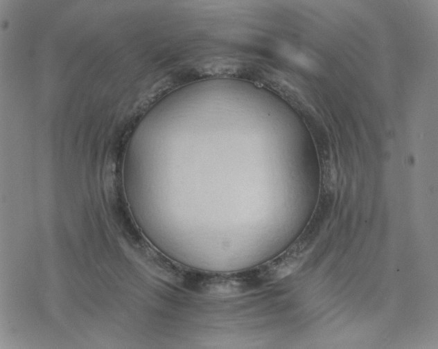 X0000076250263200610191656