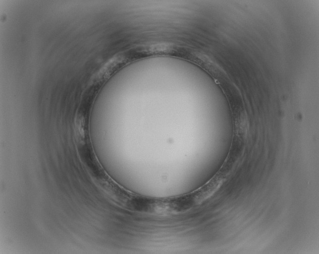 X0000076250264200610191656