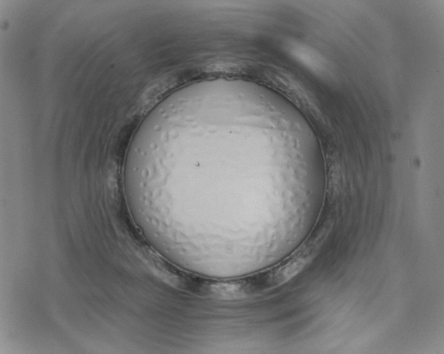 X0000076250265200610191656