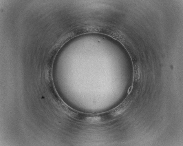 X0000076250266200610191656