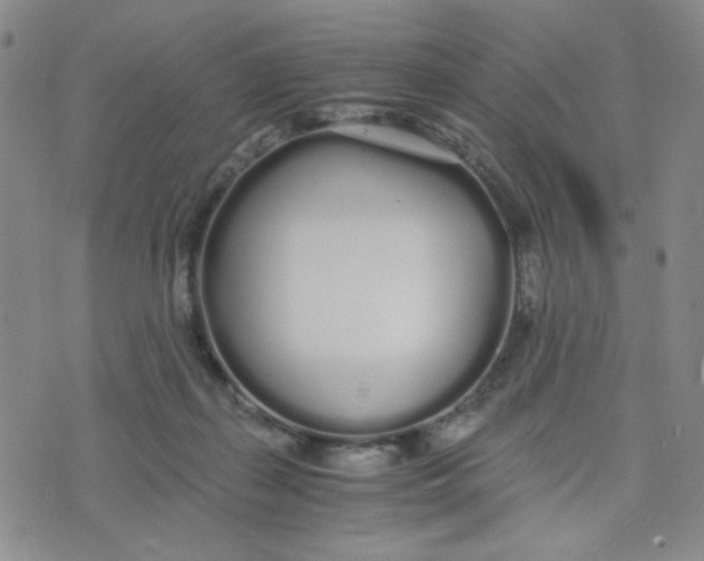 X0000076250267200610191656