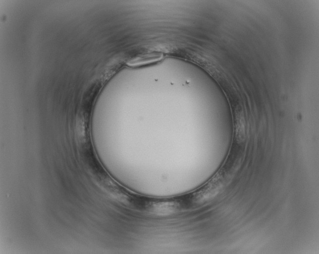 X0000076250268200610191656