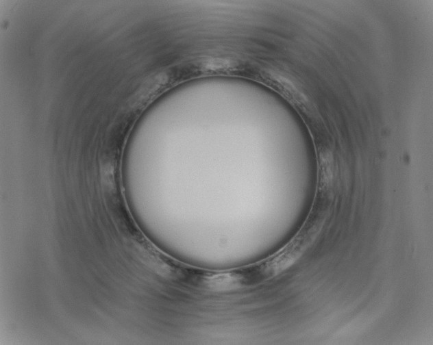 X0000076250269200610191656