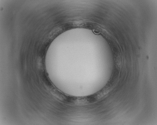 X0000076250270200610191656