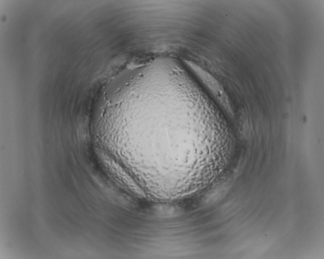 X0000076250272200610191656