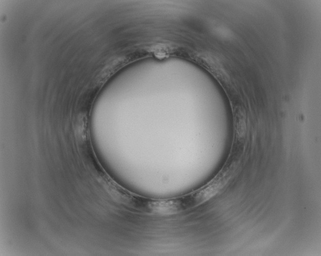 X0000076250273200610191656