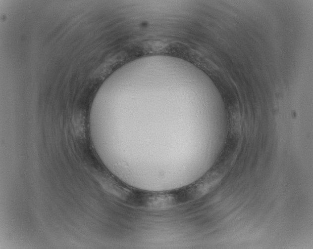 X0000076250274200610191656