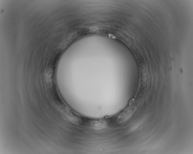 X0000076250275200610191656