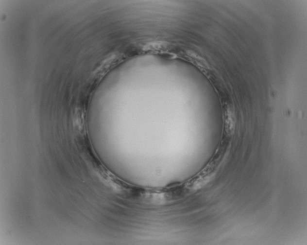 X0000076250276200610191656