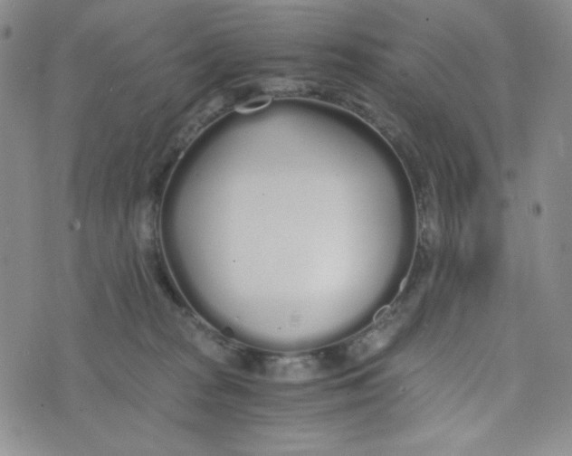 X0000076250277200610191656