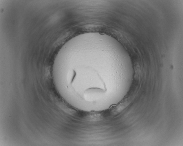 X0000076250278200610191656