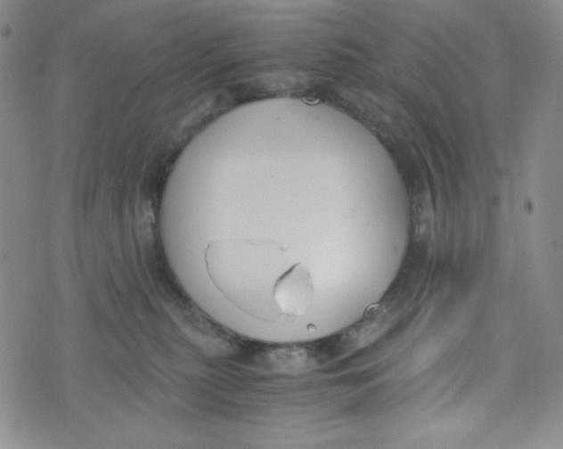 X0000076250279200610191656