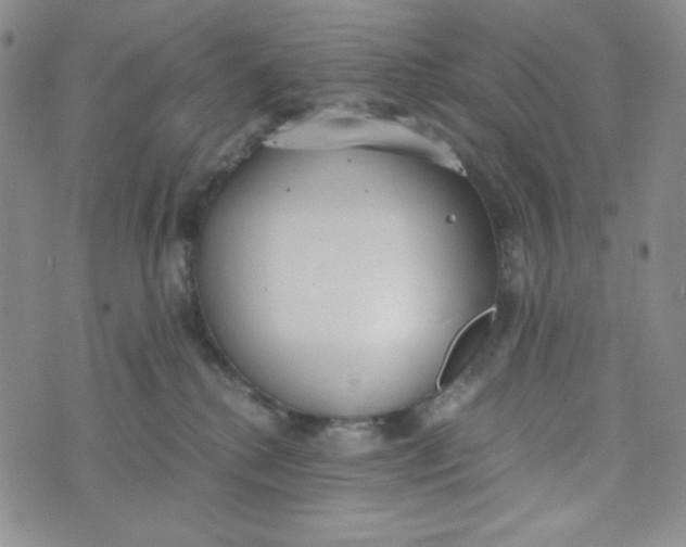 X0000076250280200610191656