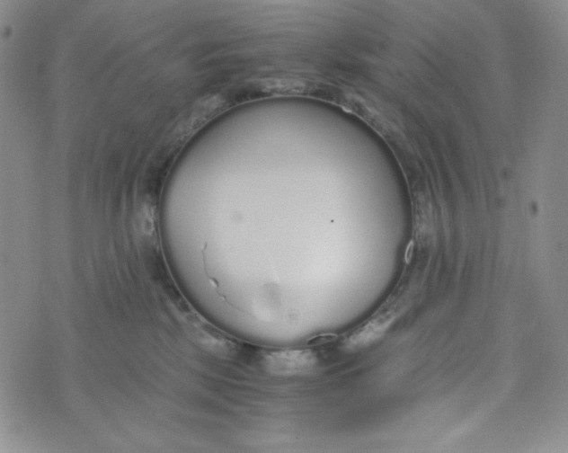 X0000076250281200610191656