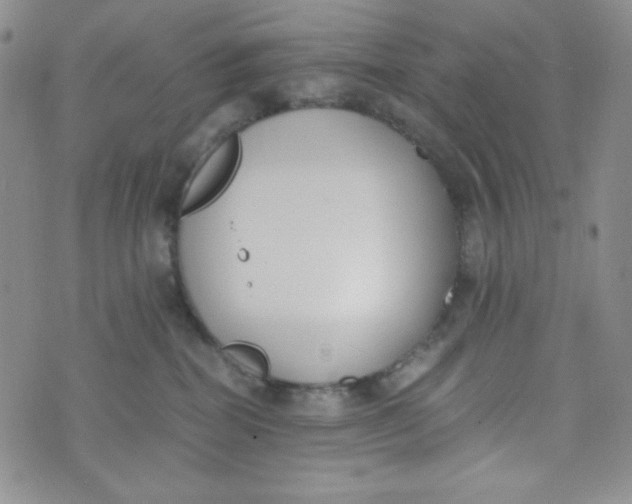 X0000076250282200610191656