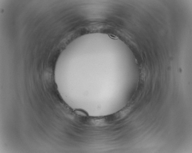 X0000076250283200610191656