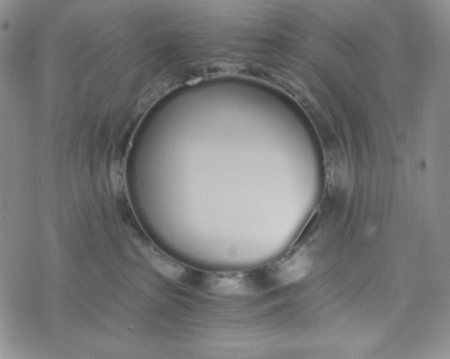 X0000076250285200610191656