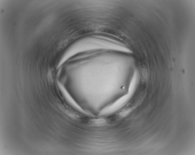 X0000076250286200610191656