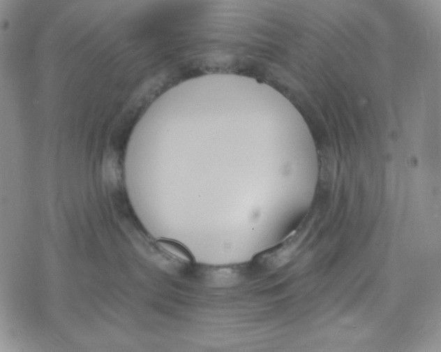 X0000076250287200610191656