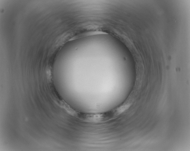 X0000076250288200610191656