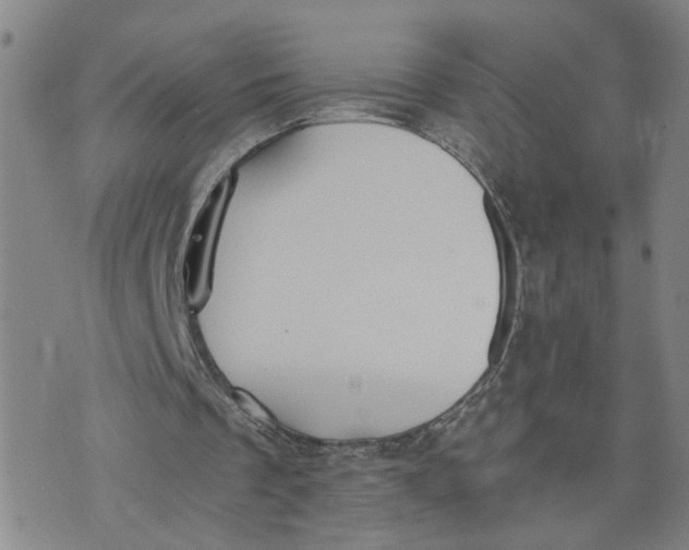 X0000076250289200610191656