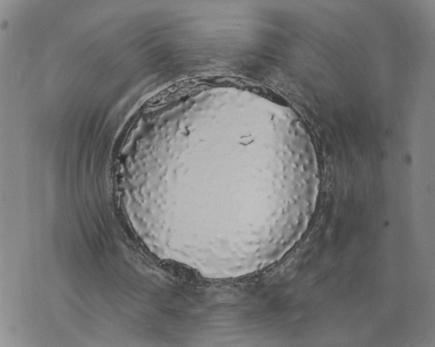 X0000076250290200610191656