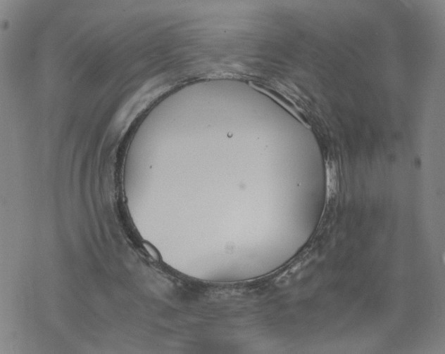 X0000076250291200610191656