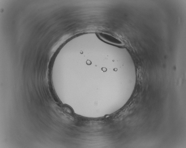 X0000076250292200610191656