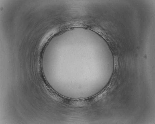 X0000076250293200610191656