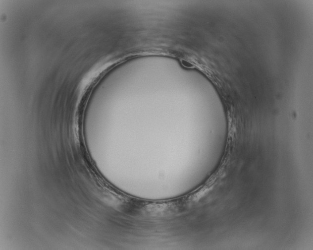 X0000076250294200610191656