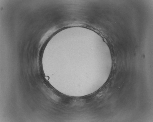 X0000076250296200610191655