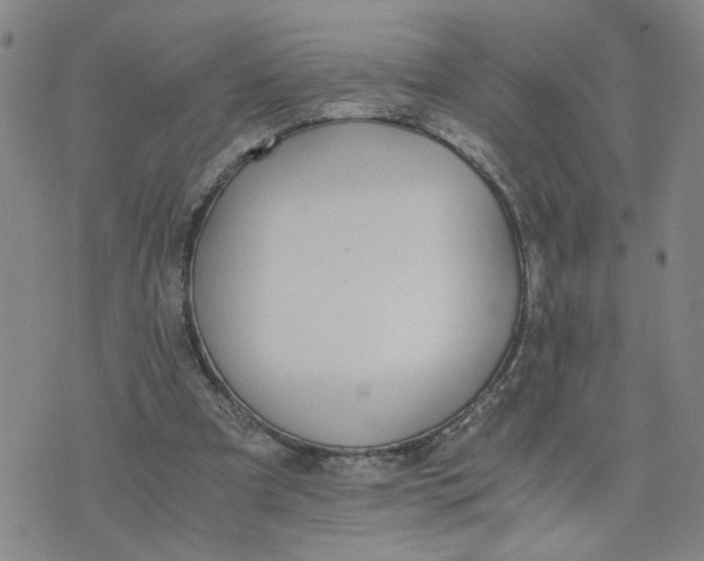 X0000076250297200610191655