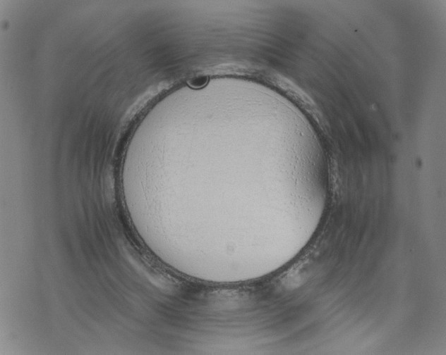 X0000076250298200610191655